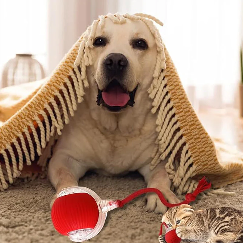 💥Buy 2 Get 1 Free🐱🐶Smart Automatic Rolling Pet Ball - Image 11